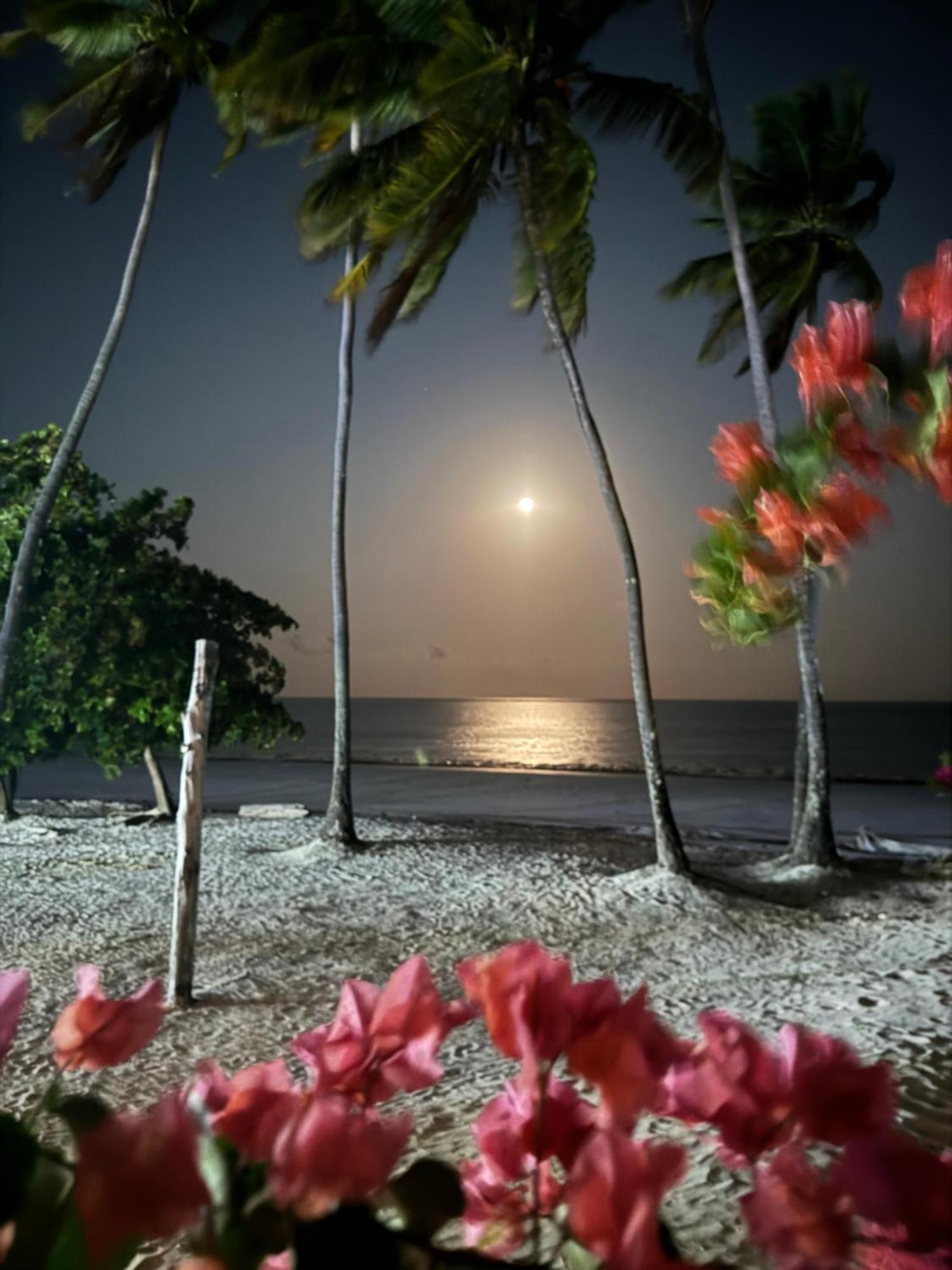 Zanzinite Beach Spa Hotel Zanzibar Exterior foto